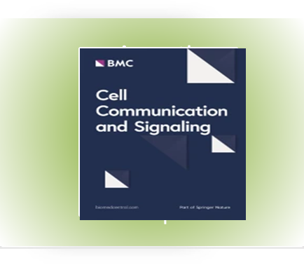 The multifaceted role of PUMA in cell death pathways: its therapeutic potential across cancer...